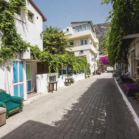 Kuytu Kose Pensión 2*